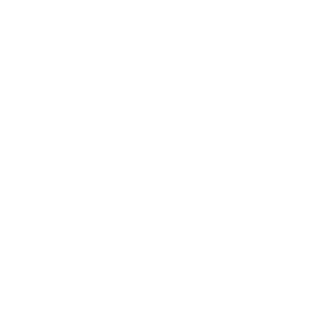 South Carolina State University